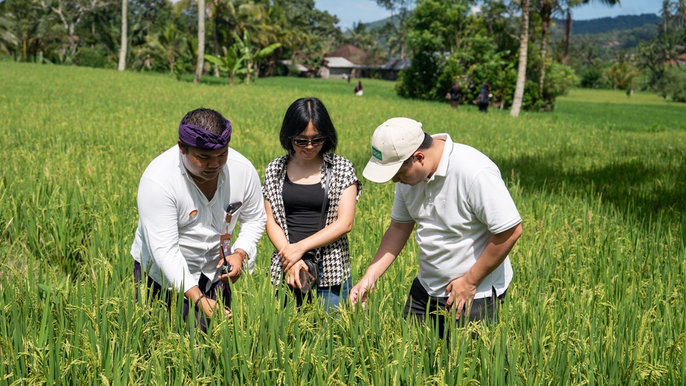 International delegates and business travelers arriving in Bali